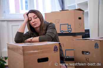 Warburg braucht Wohnraum – heute und in Zukunft