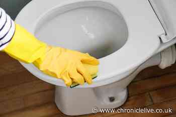 Expert warns of 'disgusting' mistake we're all making when cleaning toilets
