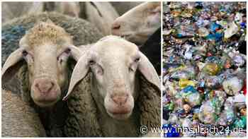 „Altlasten“ – so geht der Landkreis Mühldorf mit seinen stillgelegten Mülldeponien um