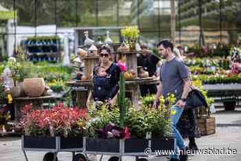 Aanschuiven in Limburgse tuincentra: “Iedereen snakt ernaar om in de tuin te werken”