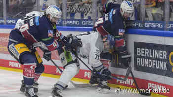 Straubing Tigers empfangen Eisbären Berlin: Halbfinale 4 live im TV und Stream 