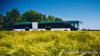 MVV-Regionalbuslinien optimiert: Ampertaler Schüler kommen einfacher zur Freisinger Realschule