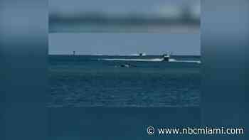 Pilot injured after helicopter crashes into Key Biscayne