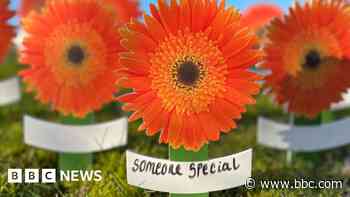 Hospice plans orange floral memorial for spring