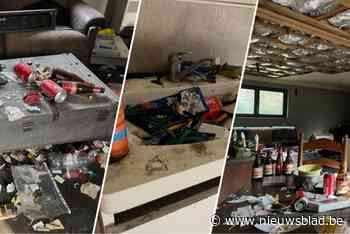 Overal blikjes bier, muren vol graffiti en de geur van natte hond: extreem vuile woning in Halle-Zoersel zoekt nieuwe eigenaars
