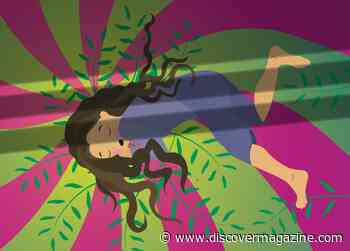 When a THC Overdose Takes Hold