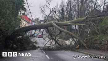 Storm Kathleen brings trees down and power outages
