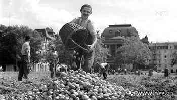 KOMMENTAR - Opferbereitschaft verlangt grosse sozialpolitische Gesten: Die tieferen Gründe, wieso die Schweizer für eine 13. AHV-Rente stimmten