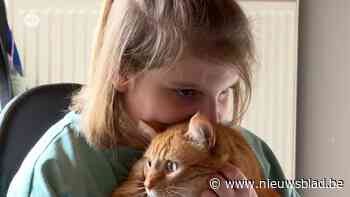 Caroline kan maar geen school voor haar dochter Robine vinden en wil rond de tafel zitten met Ben Weyts