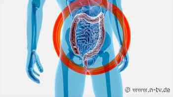 Neuer Therapieansatz?: Bestimmte Darmbakterien bauen Cholesterin ab
