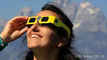 Follow the crowds, avoid the clouds: I chase eclipses to witness nature's awesome glory