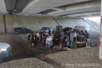 Politie legt illegale rave met zo’n 150 feestvierders stil aan kanaal in Neerpelt