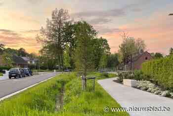 Herinrichting Bankbeekstraat maakt kans op Prijs Publieke Ruimte