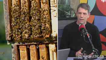 Protecting honey bees from the threat of varroa mites