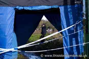 Rowdown Fields Croydon human remains found: Two arrested