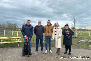 Ook Zwankendamme heeft voortaan hondenloopweide