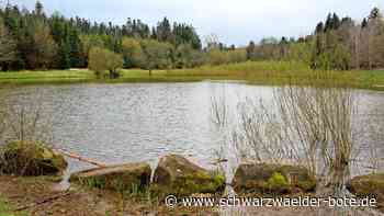 Ortschaftsrat Spielberg: Klares Nein zu Windrädern im Bömbachtal