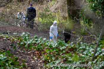 Kersal Wetlands: Man arrested after human remains found