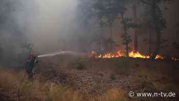 Zweithöchste Warnstufe: In Griechenland herrscht schon jetzt Waldbrandgefahr