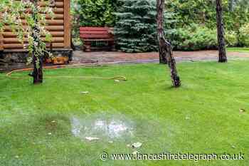 How do you fix a waterlogged garden? Tips to stop flooding