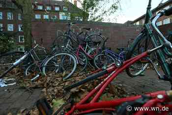 In einem einzigen Jahr wurden 5000 Schrotträder entfernt