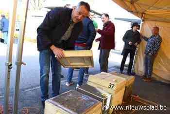 Voor het eerst verkoop per opbod van bijenvolkeren en -kasten tijdens bijenmarkt: “Gemiddelde prijs van 150 euro”