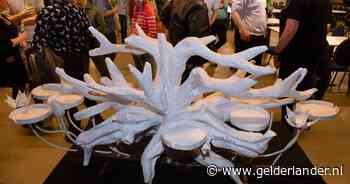 Fruitcorso ziet kosten exploderen en hamert op sponsorgeld bedrijven en gemeenten