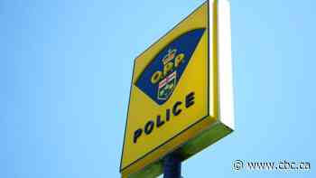 Police chiefs in Hamilton, Halton and Niagara paid more than counterparts at Toronto police, OPP