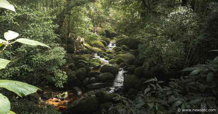 100x Or Bust? Solana Investors Bet Big On This Wild Memecoin