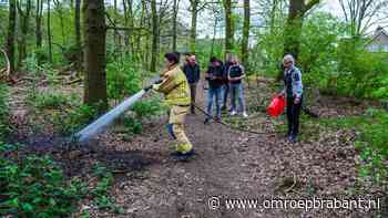 112-nieuws: kinderen stichten brand in bos • man gepakt met 500 xtc-pillen