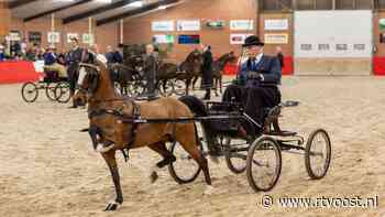 Kijk hier foto's van Twentse Tuigpaardendag in Ambt Delden