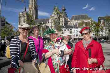 Eerste Hat Stroll in Antwerpen: “Belangrijk om nog eens mooi opgekleed door ’t stad te flaneren”