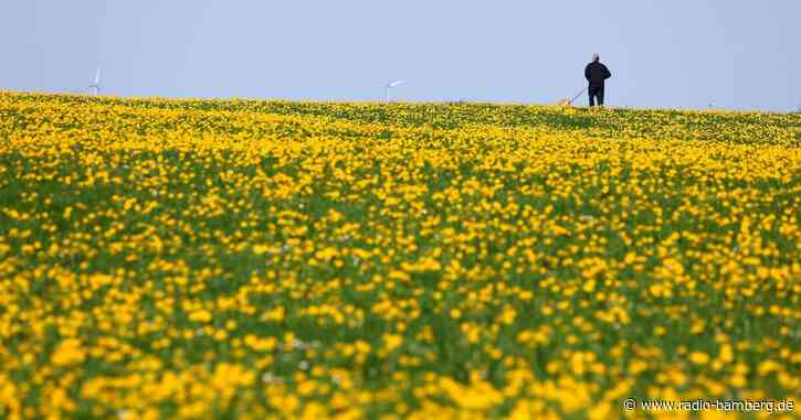 Wetterdienst misst höchste Temperatur in Rosenheim