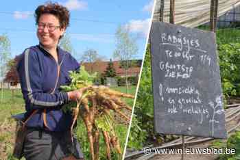 Zelfoogstboerderij zoekt nieuwe oogsters: “80 procent van onze gezinnen heeft 70 procent van de dagen het veld op tafel gezet”