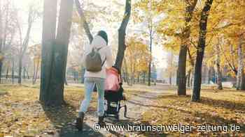 Gesetz zur Vaterzeit fehlt: Familien sollten protestieren