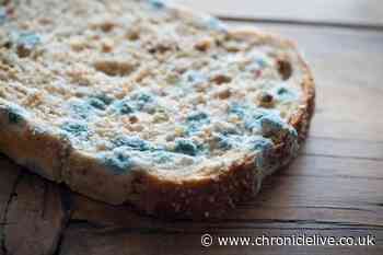 Mrs Hinch fan shares simple hack to stop bread from going mouldy - and it's genius
