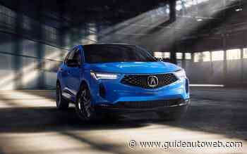 Une version de performance pour ces véhicules?