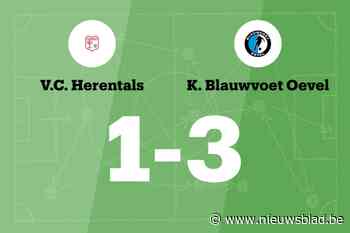 Zege Blauwvoet Oevel op VC Herentals