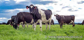 Hogere melkproductie in Australië en Nieuw-Zeeland