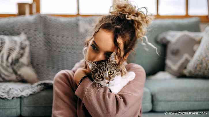 Pet food company to pay a cat lover $10K to cuddle with kittens, raise support for adoption shelters