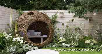 5 expert design tips for urban gardeners to make the most of your space