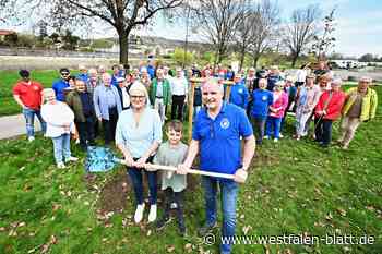 Gilde-Regenten pflanzen neue „Königseiche“ in Höxter
