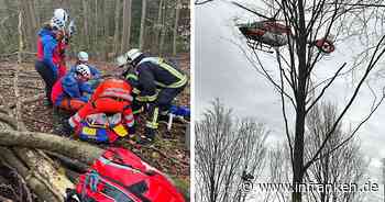 Buttenheim: Bub (13) muss mit Kettensäge befreit werden - "unter Baumstamm eingeklemmt"