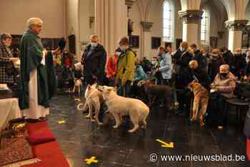 Afscheid van pastoor Luc Thiry