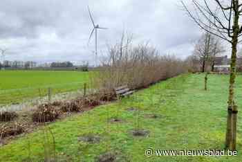 Stad Geel vergroent speelpleintjes