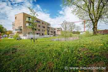 Laatste fase vernieuwing Mahatma Gandhi kost acht miljoen euro: “Bijna 4,5 voetbalvelden voor groen, sport en spelen”