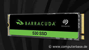 BarraCuda 530 SSD: Seagates M.2-Raubfisch springt zu früh aus dem Wasser