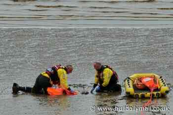Happy ending as stranded porpoise rescued at Hessle