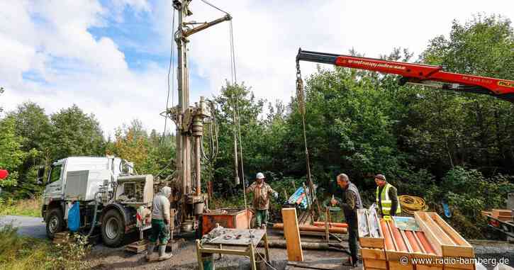 Fichtelgebirge: 20 Millionen Jahre alte Baumpollen entdeckt