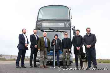 Hopes £4.65m Government investment will improve bus accessibility in North East